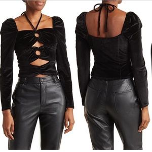 NWT Torn by Ronny Kobo Petra Long Sleeve Cutout Velvet Crop Top